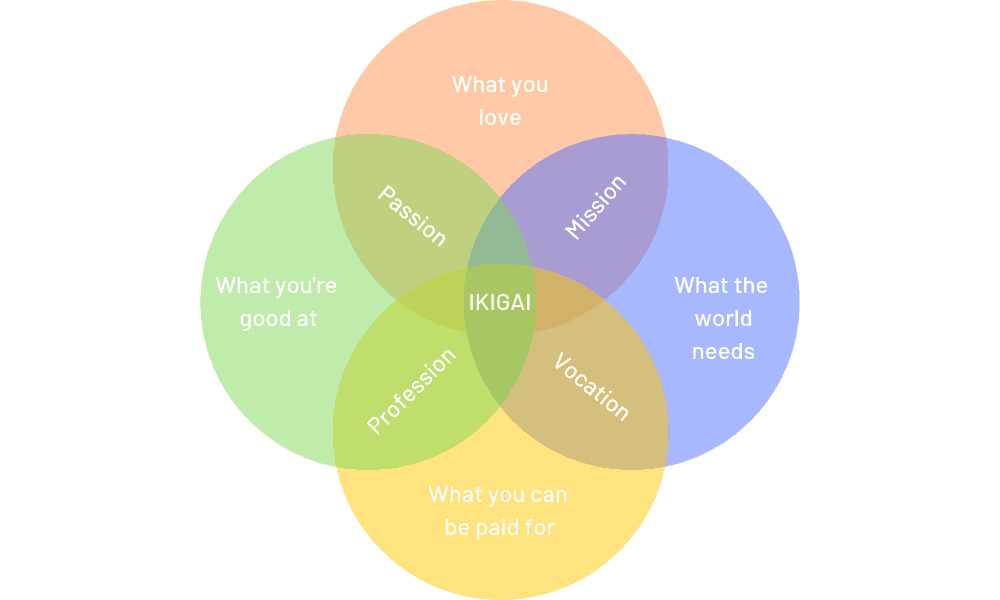 How to find a profitable blog niche by IKIGAI