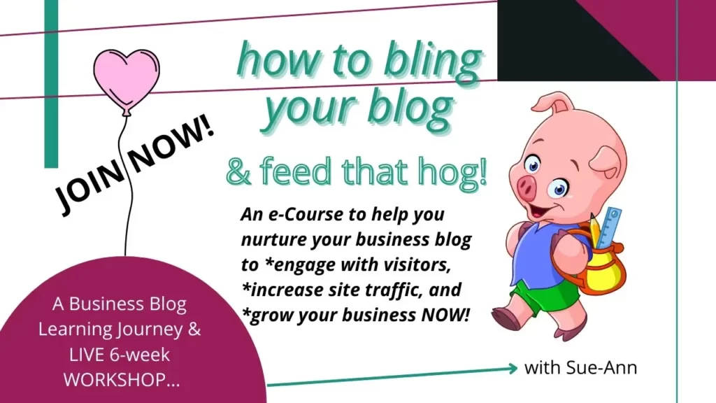 How to bling your blog and feed that hog appsumo deal